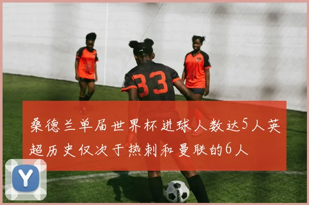 桑德兰单届世界杯进球人数达5人英超历史仅次于热刺和曼联的6人